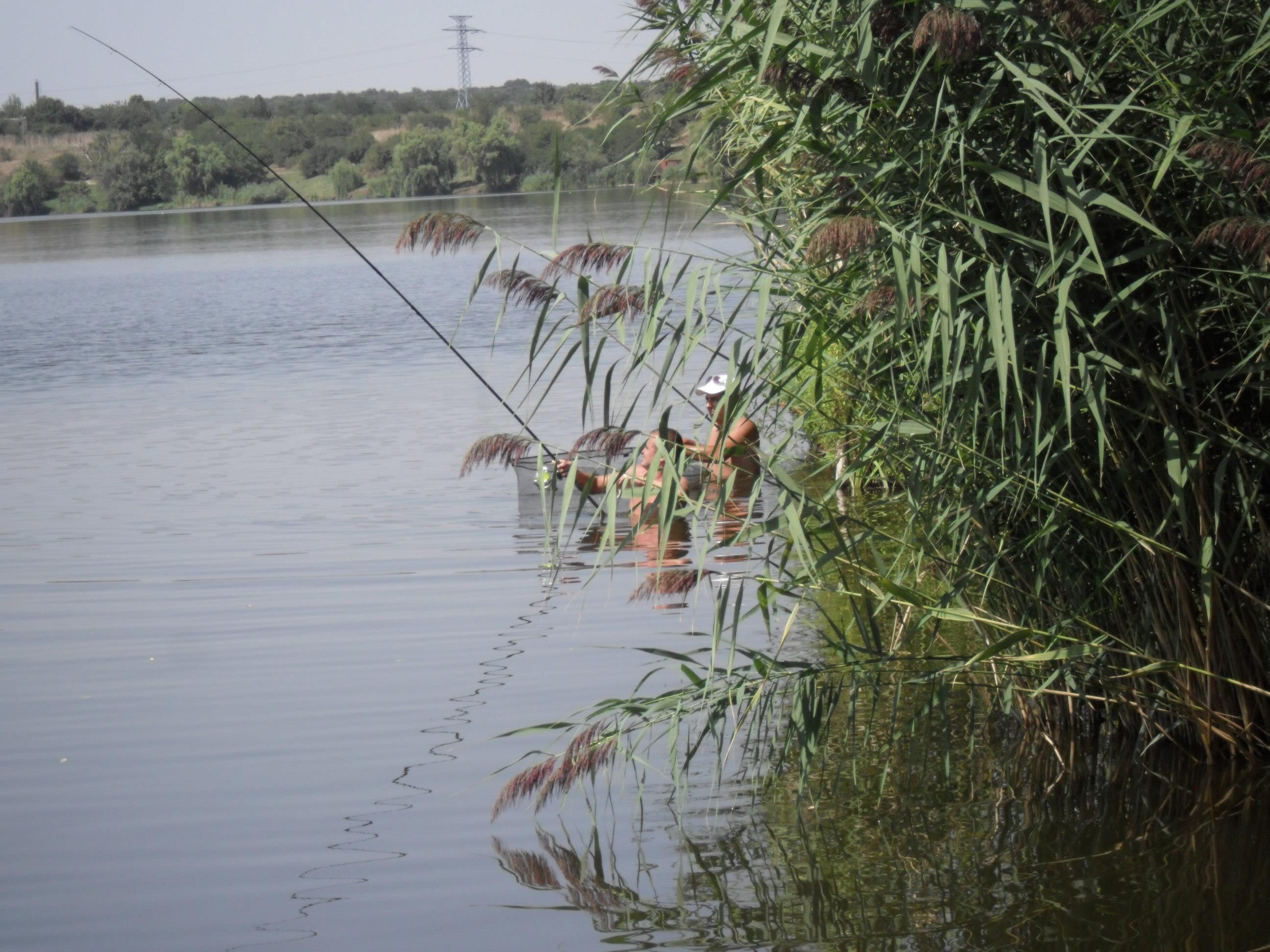 somn mania tancabesti - SAM_0876.JPG